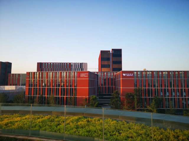 贵州高效的填料塔大概价格是多少